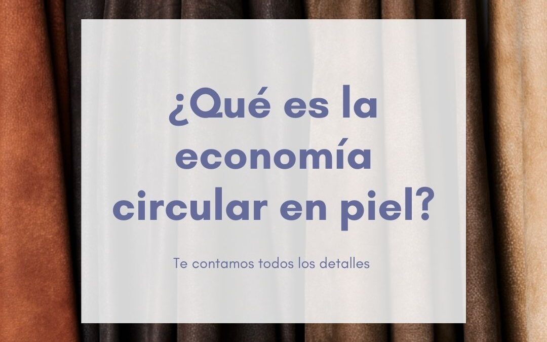 ¿Qué es economía circular en piel?