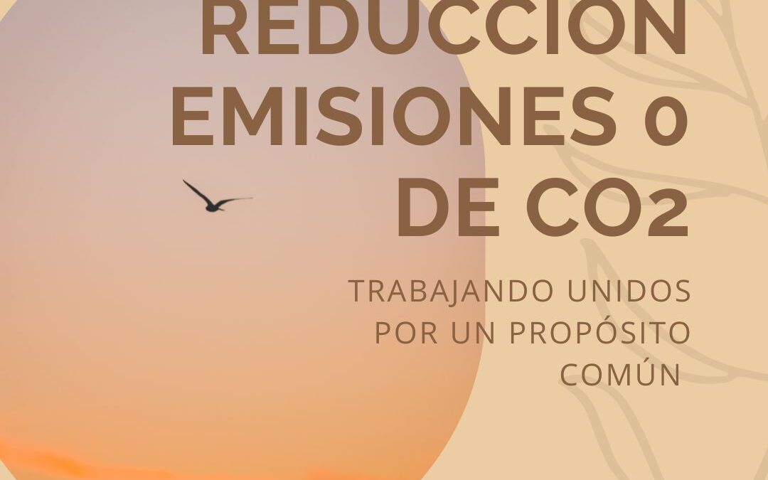 Reducción Emisiones CO2